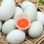 Trứng vịt tươi, sản phẩm VietGAP